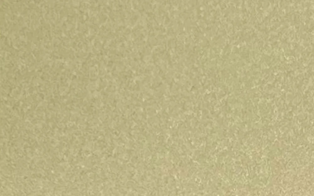 CT10-065 Champagne Gold Glitter Silver catalogue finish reference